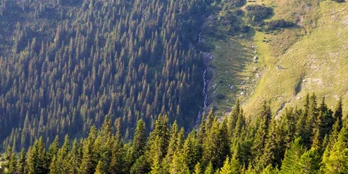 retezat foto ioan benea si marius turc