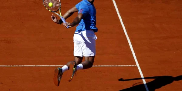 tsonga tenis foto reuters