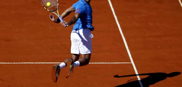 Jo-Wilfried Tsonga, FOTO Reuters