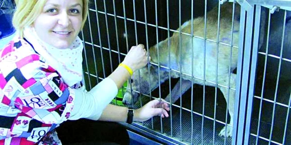Cei mai buni prieteni ai omului vor fi răsfăţaţi şi la doctor. Foto: Renate Simion