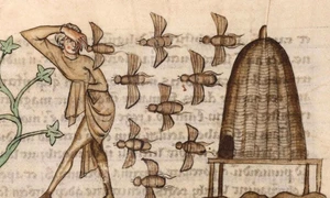 Persoană atacată de albine. Miniatură dintr-un manuscris medieval (© Douai Cuincy Library Network, CC BY-SA)