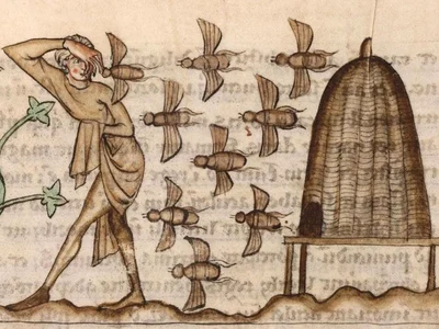 Persoană atacată de albine. Miniatură dintr-un manuscris medieval (© Douai Cuincy Library Network, CC BY-SA)