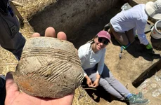 Săpături arheologice în situl de la Glina-Bălăceanca (© Muzeul Municipiului București)