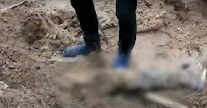 Trupurile celor trei bărbaţi au fost găsite la Mîroţke, un sat apropiat de Bucea, oraş de lângă Kiev devenit un simbol al atrocităţilor războiului din Ucraina Foto Captura video