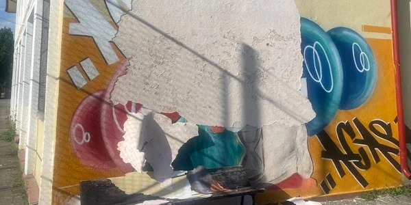 vandalismin liceul de arte targu jiu jpg