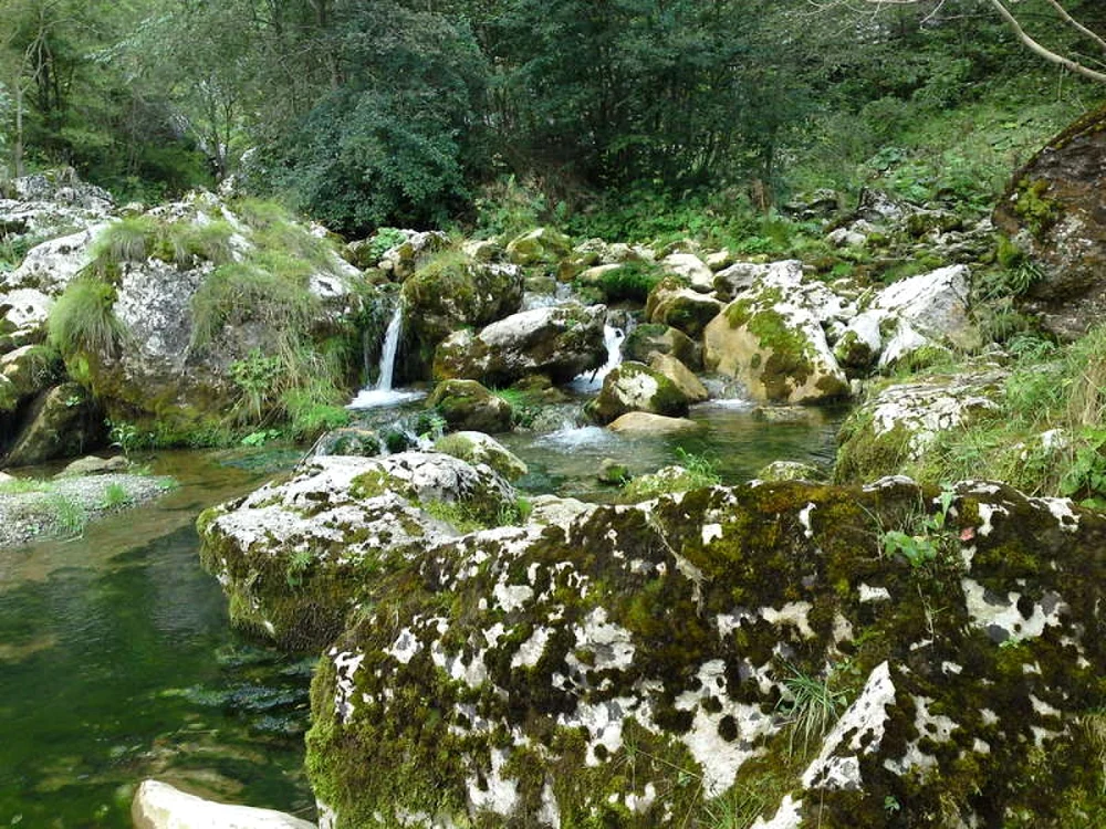 Pârâul Valea Morilor FOTO Adevărul