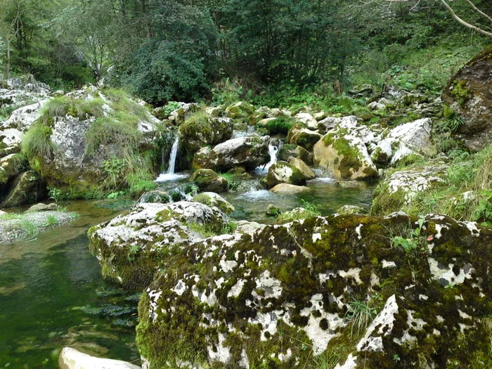 Pârâul Valea Morilor FOTO Adevărul