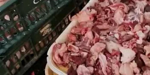 625816e75163ec42715dab85 jpg