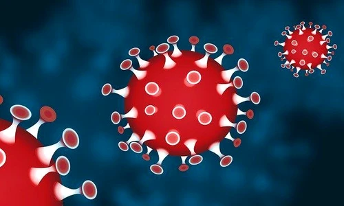 1 corona 4893276 640 jpg jpeg