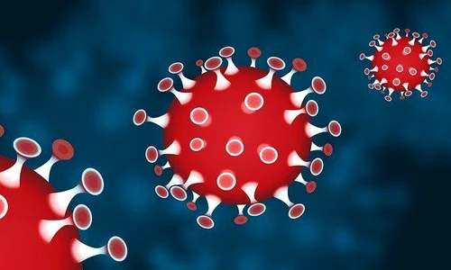 1 corona 4893276 640 jpg jpeg