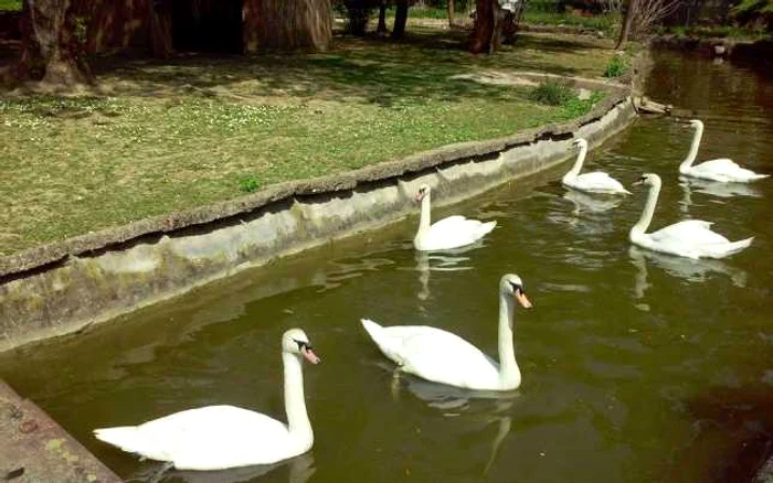 Grădina Zoologică de la Târgovişte a rămas, încă din secolul XVI, una dintre cele mai mari şi mai frumoase din ţară