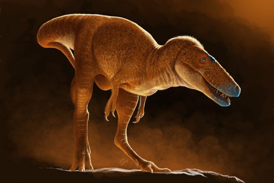 Rămăşiţele unui strămoş al lui T-Rex, descoperite într-un institut mongol