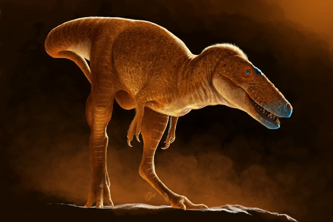 Khankhuuluu mongoliensis, "prinţul dragon al Mongoliei" FOTO: X