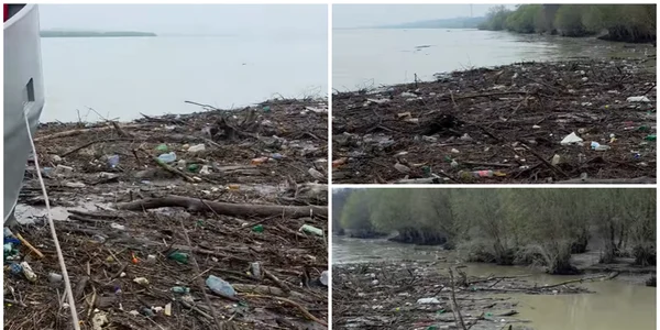Dunărea, sufocată de gunoaie la Galați după viituri. Autoritățile și firmele, somate să intervină urgent FOTO: captură video Facebook/Giv Viorel
