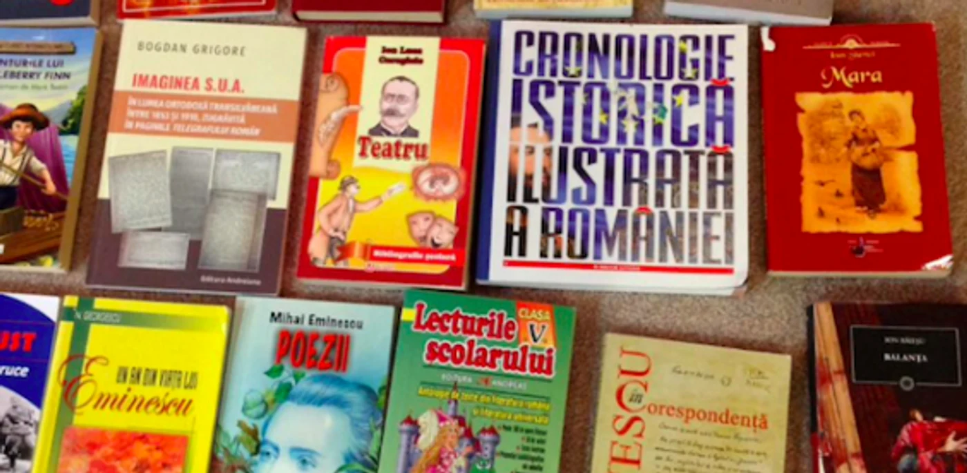 Cărţile adunate de copiii din Argeş pentru biblioteca românilor din Canada