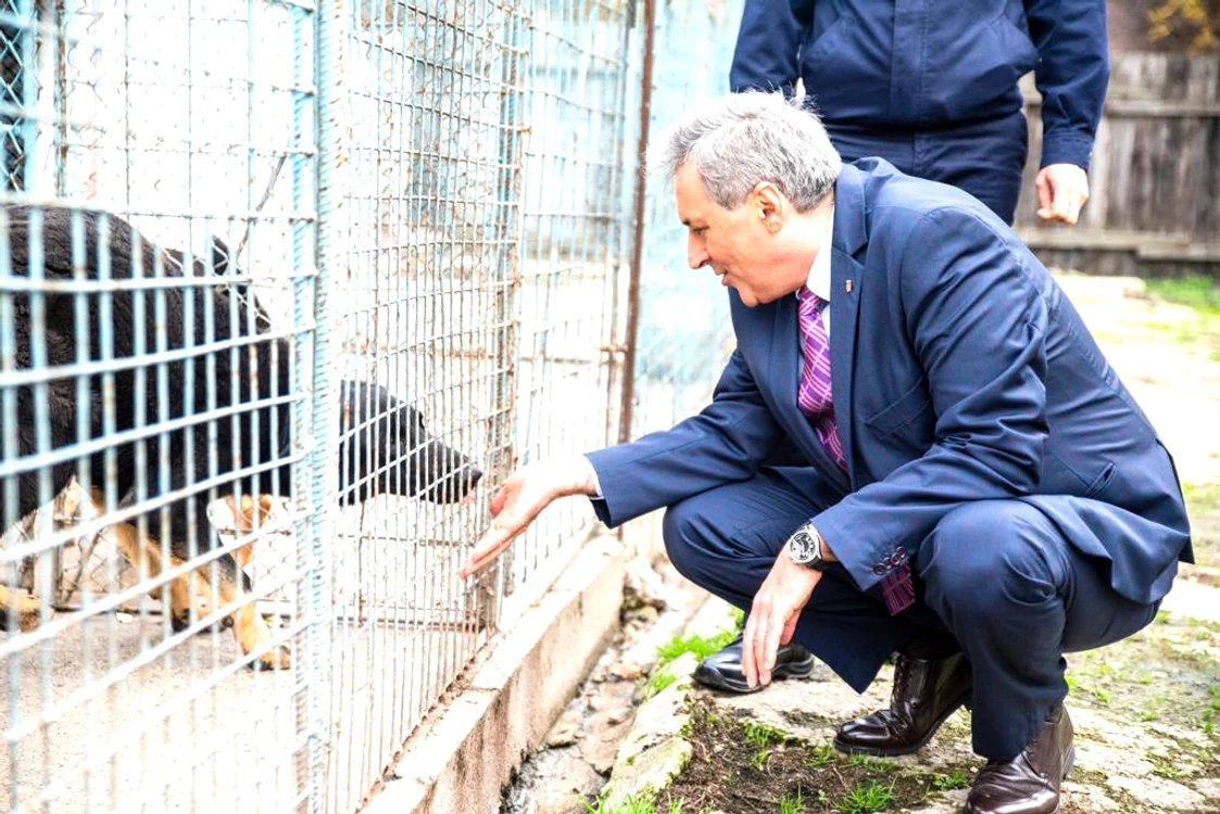 Ministrul Marcel Vela i-a salutat și pe câinii pensionari, aflați încă în padocuri