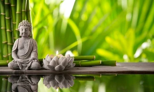 1 77980 original jpg jpeg