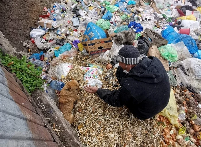 O asociaţie de protecţia animalelor a salvat o parte din câinifoto: Facebook