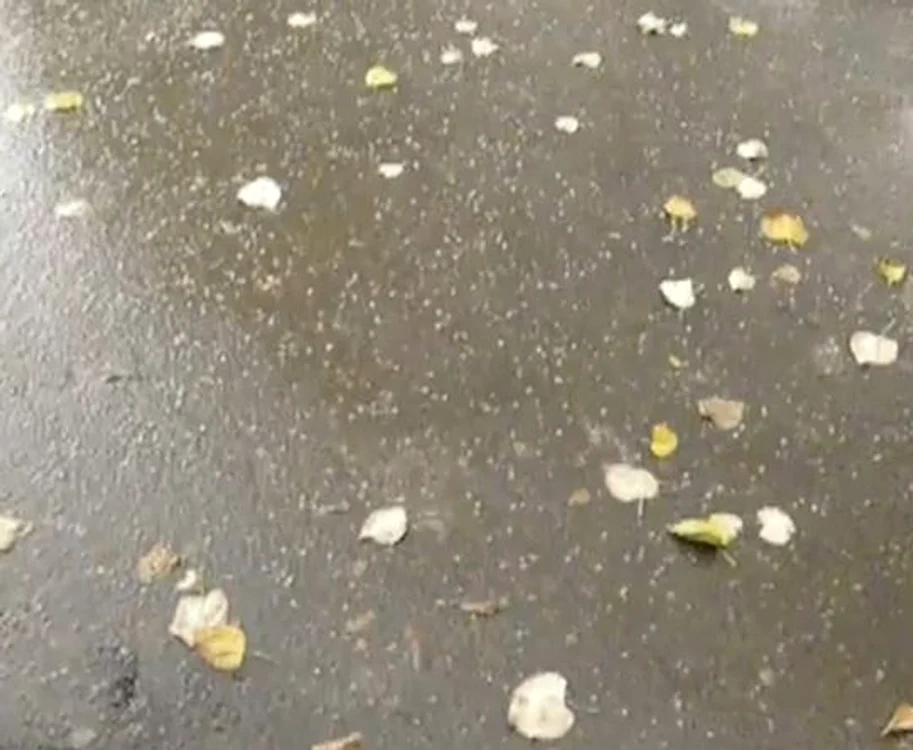 
    Ploaie cu grindină în Ploieşti.  