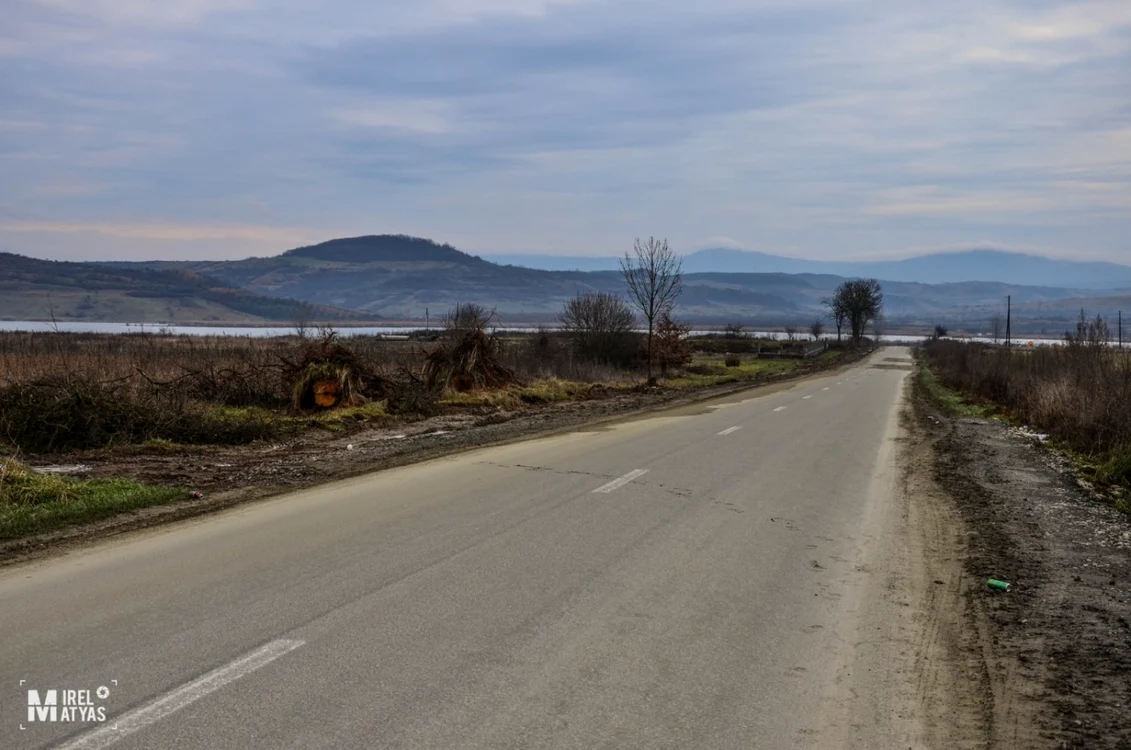 În locul copacilor va fi acostament asfaltat FOTO Mirel Matyas