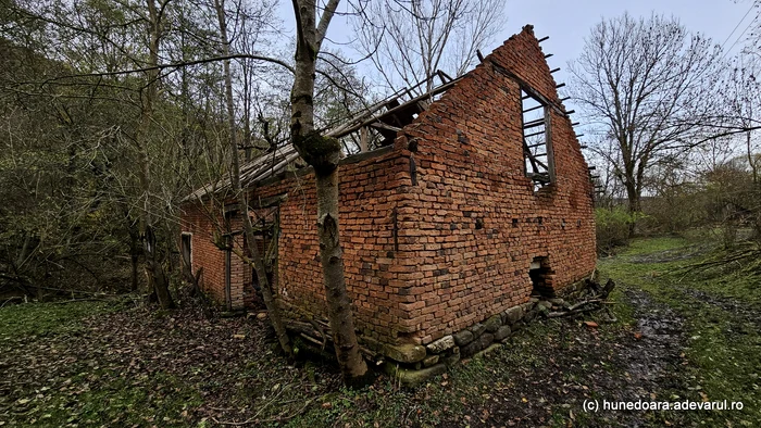 Casă ruinată. Foto: Daniel Guță ADEVĂRUL