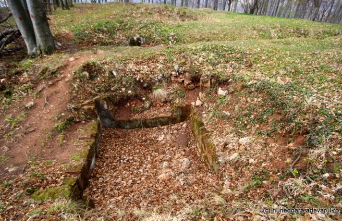 cetatea piatra rosie foto daniel guta adevarul