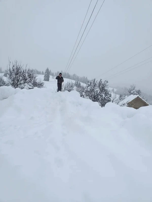 zapada apuseni