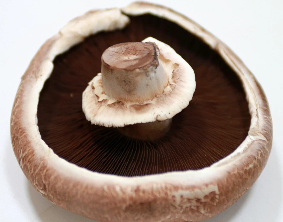 Ciuperci Portobello. Foto: Pixabay