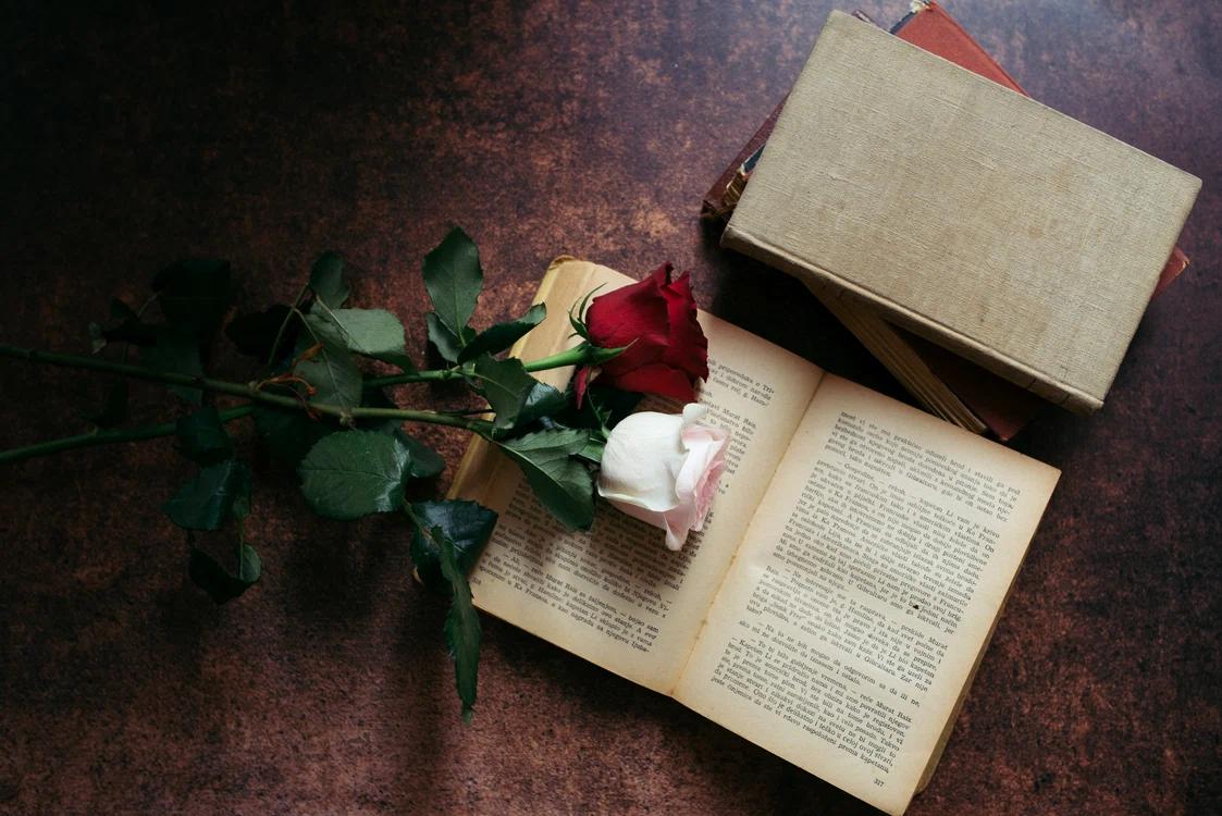 © Nenad Stojkovic / flickr