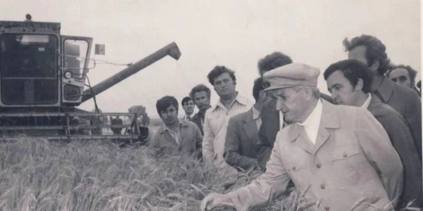ceausescu grau