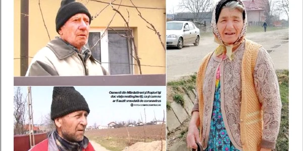 tarani botosani