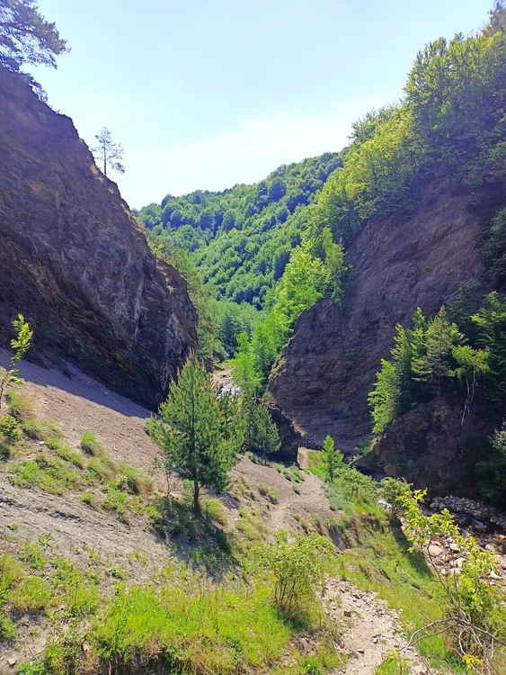 Rezervația Strâmtura Cozei FOTO: RNP