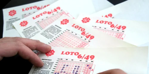 loto jpg