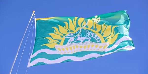 Steagul autoproclamatei Republici Slowjamastan FOTO Profimedia jpg