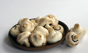 bol ciuperci 580x400 0 jpeg