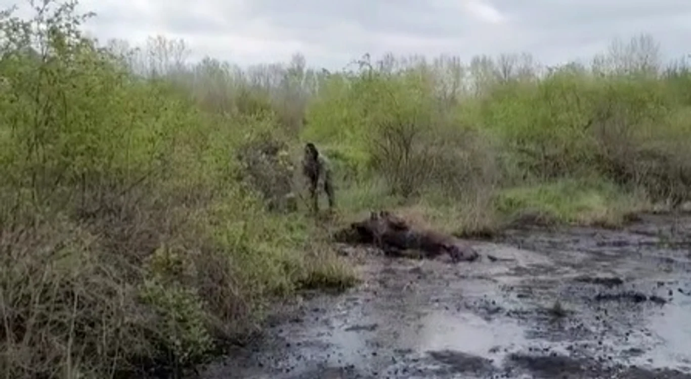 Captură video