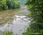 Valea Cernei și Cernișoarei, după inundatii Foto Daniel Guță ADEVĂRUL (78) jpg