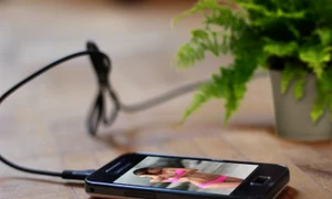 incarcare plante 1 jpeg