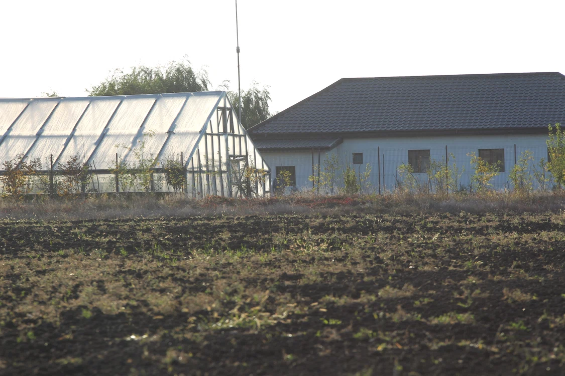 Ferma de la  Brănești îl asigură  că mănâncă  numai alimente bio