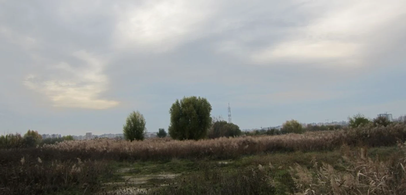Delta Văcăreşti. FOTO: Sorin Ghica.
