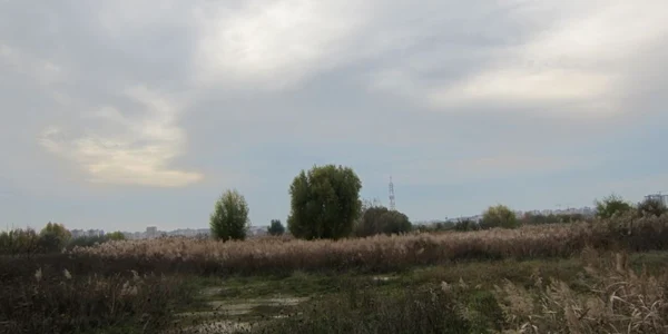 Delta Văcăreşti FOTO Sorin Ghica