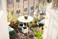 thumbnail renovare balcon cu masa si plante jpg