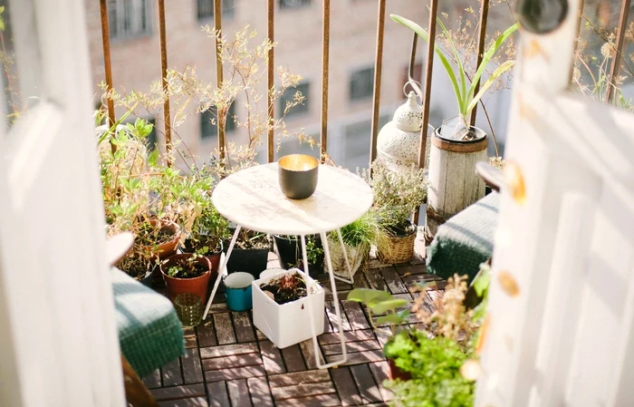 Plante care nu se țin pe balcon Foto: Shutterstock