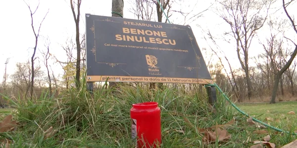 BUZAUBENONE