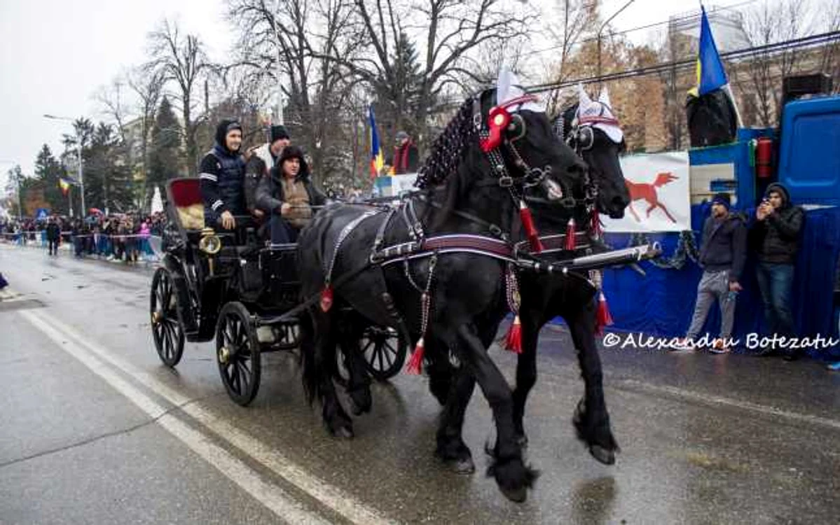 Cei mai frumoşi cai, la parada de Bobotează Foto:Alexandru Botezatu