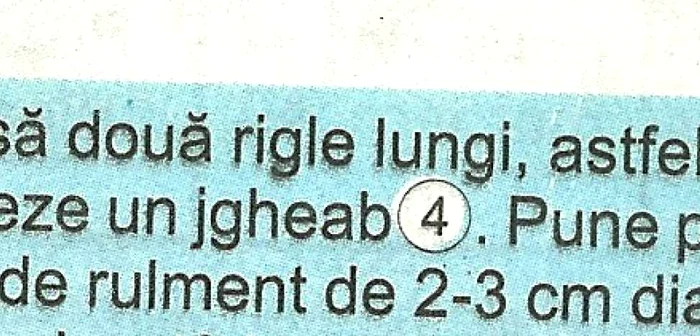 Hăul limbii române: "jgheabul muchiilor teşite" - Fizică, moartă pe altarul Cuvântului...