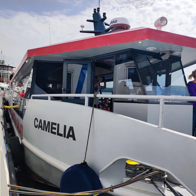 Nava de pasageri Camelia, inaugurată la Galați foto:C. Mazilu