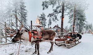 Dana Rogoz, cu abdomenul plat la o săptămână după ce a născut jpeg