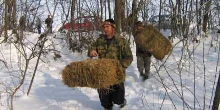 Vânătorii hrănesc animalele să nu moară de foame