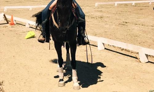 Denis Stefan si fiica lui Delia la Tulcea (1) jpeg